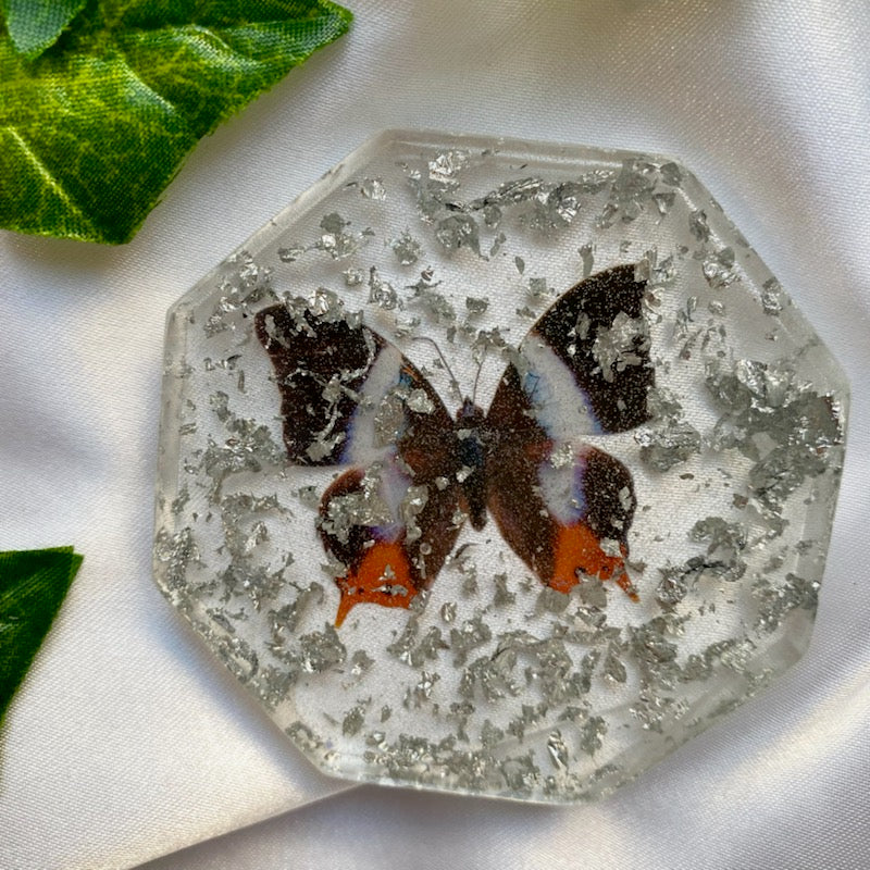 Silver Butterfly Dish